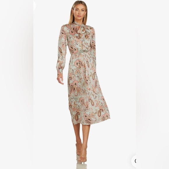 Like‎ New Trish Scully Paisley Print Midi Dress Sz 8 Boho - Picture 1 of 8